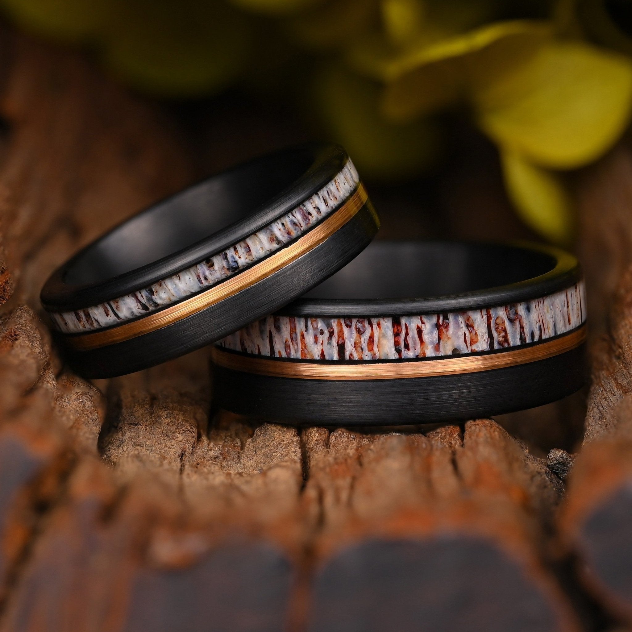 Explorer - Ring Set